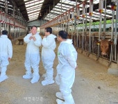 전북, 구제역 차단방역 비상