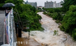 폭우로 급류되어 흐르는 덕진교 개천