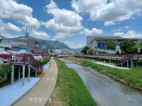 고창천, 건강하고 아름다운 생태하천 만들기