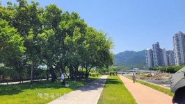 백제대로 자전거도로, `차로→인도겸용도로 변경