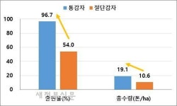 가을 재배 감자 심을 때, 씨감자 자르지 말고 통째로