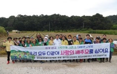 완주 용진읍, 사랑의 배추모 심기 행사