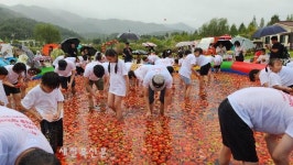 장수 한우랑사과랑축제 황금반지를 찾아라