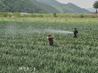 장수군농업기술센터, 농작물 병해충 방제 지원사업 추진