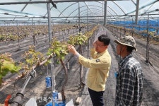 무주군 팜메이트 구성 특화작목 육성