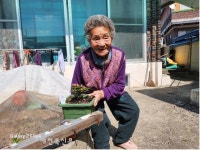 완주군, 구이노인복지센터 “봄꽃 화분 선물”