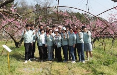 정읍시 장명동 주민자치회, 제2회 구룡동 복사꽃 축제 성황리에 마쳐