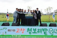 고창군, 청보리밭 축제 개막