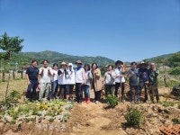 장계 생담원농장에 미니치유정원조성