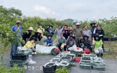 정읍 장명·시기동 주민센터, 회계과 무더위 속 농촌일손 돕기 추진