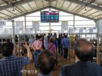 남원축협, 전북지역 최초 염소 경매시장 개장