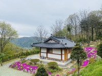 올여름 피서는 데미샘 휴양림서