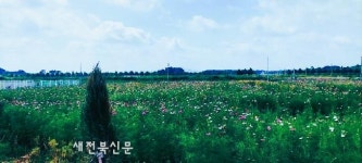 부안군, 반려동물 놀이터 코스모스 산책로 개장