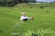 익산시, 벼멸구 확산방지 긴급 방제 나서