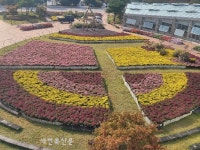 남원 지리산 허브밸리 가을꽃 만발