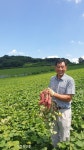 [포커스] 전국 최대 면적 고구마 생산, 고창황토배기청정고구마 서재필 대표