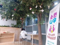 새해 소망 담아…익산 영등도서관, 소원나무 운영