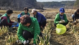 익산 웅포면 새마을부녀회, 봄을 알리는 따듯한 나눔