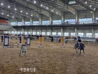 전국 승마인 말산업특구 전북으로