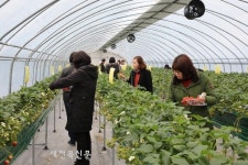 무주군 농촌치유관광 콘텐츠 사업 참여 농가 모집