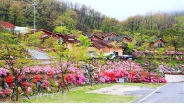 섬진강 발원지 데미샘 휴양림 숙박예약