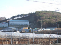 화성시, 전곡리 농지 불법 전용 뒷짐