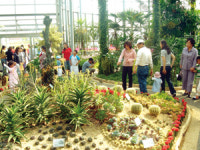 평택 서부지역 어디로 향하든 일상의 쉼표