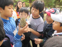 수원 푸른녹지사업소 녹화사업 팔걷어