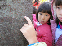 수원 푸른녹지사업소 녹화사업 팔걷어