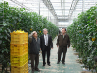 세계인 입맛 잡은 우리농식품 新한류로 키운다