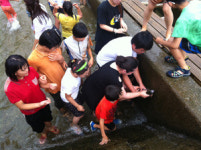 양평교육지원청 특수교육지원센터,2012 양평 하계 늘해랑학교 1차 현장체험학습