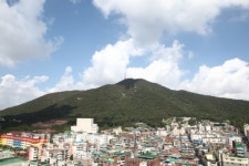 천년의 역사 품고 지켜온 숲 삭막한 도심에 불어 넣은 숨