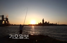펄떡이는 바다 품은 난장  종일 人波로 출렁거리네