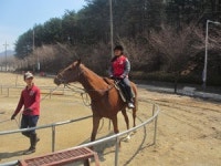 큰 학교 안 부러운 초미니 가양초