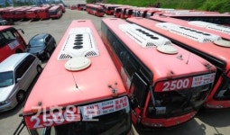 삼화고속, 또다시 시민의 발 묶었다