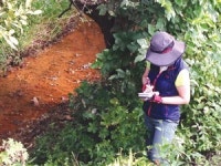 이천시 옛 도랑에 새 생명을