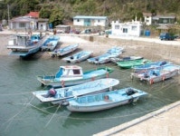 오감을 깨우는 서쪽  보물섬 