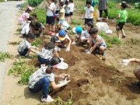 고사리손 3년 농사 사랑나눔 기쁨