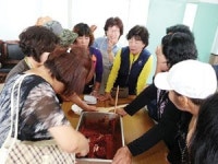 대룡협동조합 교동 평화의 섬 물들이기 농산물 체험