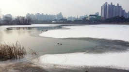 또 익사 사고… 대책 없는 만석공원 저수지