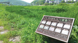 광주 경안천 인공습지 혈세만 날려