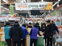 맛 좋은 제주감귤 싸게 사세요
