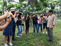 평택 농산물 ‘슈퍼오닝’ SNS 입소문 기대