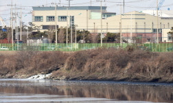 오염수 필터링 안 되는 952억 원짜리 고도처리시설