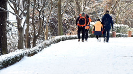 수원 광교산 ‘순백의 등산로’