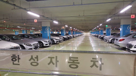 출고장 된 주차장 꽉 막힌 행정조치