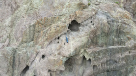 [함께해요,인천섬여행]7.선갑도