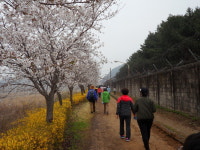 가평 조종천서 700여 명 웃음꽃 만개