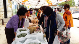 연천군 옥계마을, 찾아가는 연천농산물 직거래장터 운영