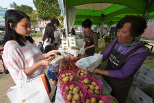 농식품 직거래 새 판로 ‘경기 파머스 마켓’ 오픈